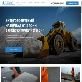 Скриншот главной страницы сайта flegont.ru
