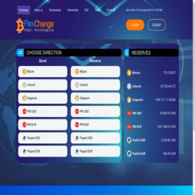 Скриншот главной страницы сайта flexchange.biz