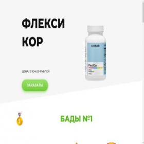 Скриншот главной страницы сайта flexicor.lpmotortest.com