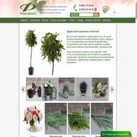 Скриншот главной страницы сайта flora-decor33.ru