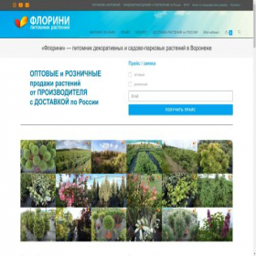 Скриншот главной страницы сайта florini.ru