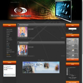 Скриншот главной страницы сайта flortv.net