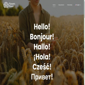 Скриншот главной страницы сайта flowers-power.pl
