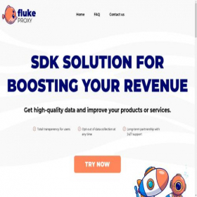 Скриншот главной страницы сайта flukeproxy.com