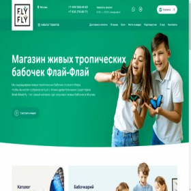 Скриншот главной страницы сайта fly-fly.ru