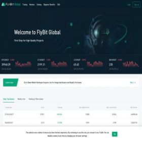 Скриншот главной страницы сайта flybit.global