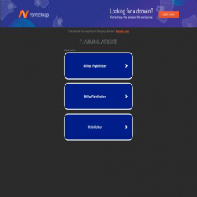 Скриншот главной страницы сайта flymining.website