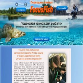 Скриншот главной страницы сайта focusfish.ru