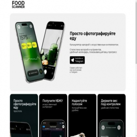 Скриншот главной страницы сайта food-scanner.ru