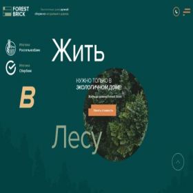 Скриншот главной страницы сайта forestbrick.ru