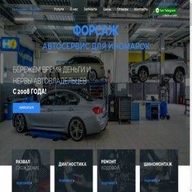 Скриншот главной страницы сайта forsag-chelny.ru