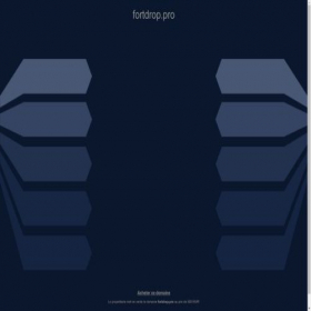 Скриншот главной страницы сайта fortdrop.pro