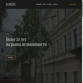 Скриншот главной страницы сайта fortisltd.ru