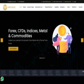 Скриншот главной страницы сайта fortunefx.info