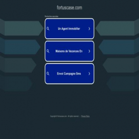 Скриншот главной страницы сайта fortuscase.com