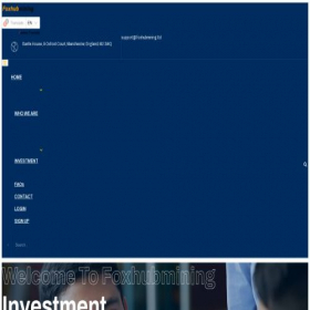 Скриншот главной страницы сайта foxhubmining.ltd