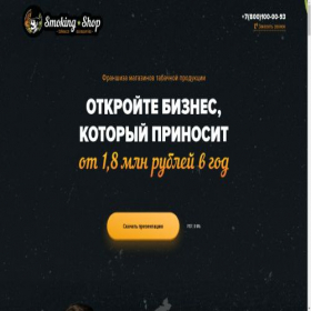 Скриншот главной страницы сайта franchisess.ru