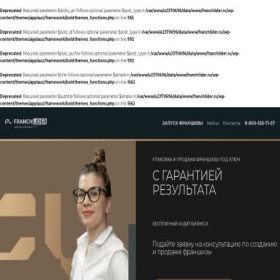 Скриншот главной страницы сайта franchlider.ru