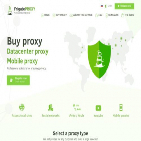Скриншот главной страницы сайта frigate-proxy.ru