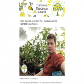 Скриншот главной страницы сайта fruktovoe-derevo.creatium.site
