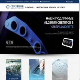 Скриншот главной страницы сайта fsilicone.ru