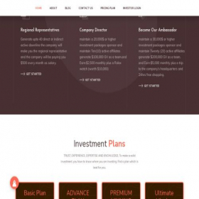 Скриншот главной страницы сайта fxglobalinvestments.com