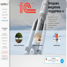 Скриншот главной страницы сайта gagarinbit.ru