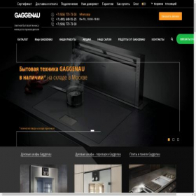 Скриншот главной страницы сайта gaggen.store