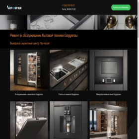 Скриншот главной страницы сайта gaggenau-repairs.ru