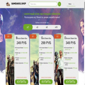 Скриншот главной страницы сайта gameakks.shop