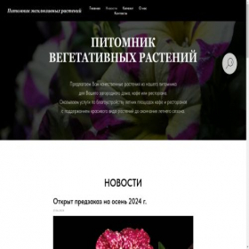 Скриншот главной страницы сайта gardenstylenn.ru