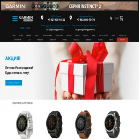 Скриншот главной страницы сайта garmin.spb.ru