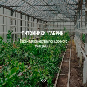 Скриншот главной страницы сайта gavrinpitomnik.site