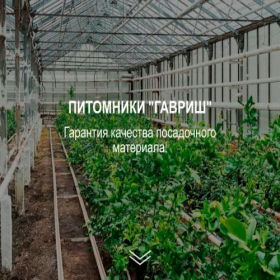 Скриншот главной страницы сайта gavrish-agro.site