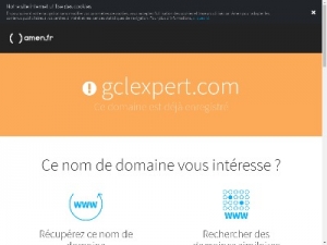 Скриншот главной страницы сайта gclexpert.com