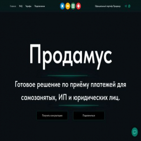 Скриншот главной страницы сайта getpayments.ru