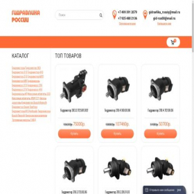 Скриншот главной страницы сайта gidraros.ru