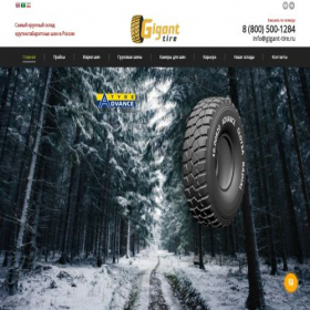 Скриншот главной страницы сайта gigant-tire.ru