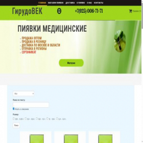 Скриншот главной страницы сайта girudo-vek.ru