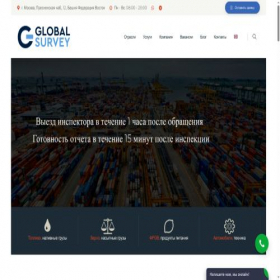 Скриншот главной страницы сайта globalsurvey.ru