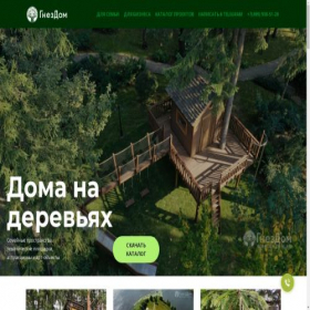 Скриншот главной страницы сайта gnzdm.ru