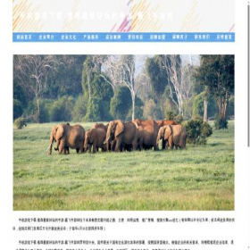 Скриншот главной страницы сайта go-case.com