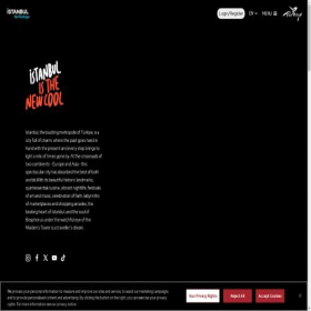 Скриншот главной страницы сайта goistanbulturkiye.com