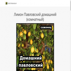 Скриншот главной страницы сайта gold-limon.creatium.site