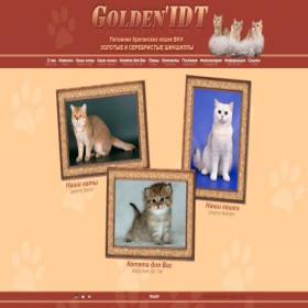 Скриншот главной страницы сайта goldenidt.ru