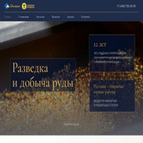 Скриншот главной страницы сайта goldpro.ru