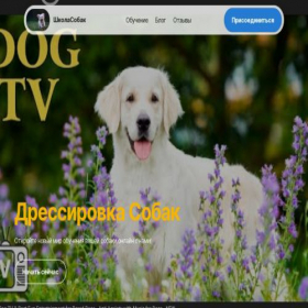 Скриншот главной страницы сайта goldshop.za.com