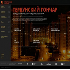 Скриншот главной страницы сайта gonchar48.ru
