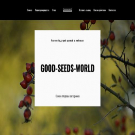Скриншот главной страницы сайта good-seeds-world.xyz