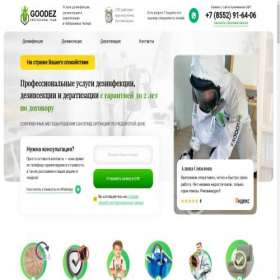 Скриншот главной страницы сайта goodez-chelny.ru